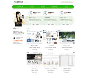 Programer.co.kr(맞춤형 웹프로그램제작) Screenshot