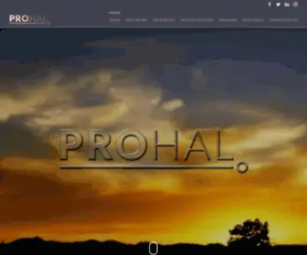 Prohal.co.uk(Chartered Certified Accountants in London) Screenshot