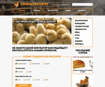 Proinkubator.ru(Proinkubator) Screenshot