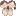 Projectcaca.org Favicon