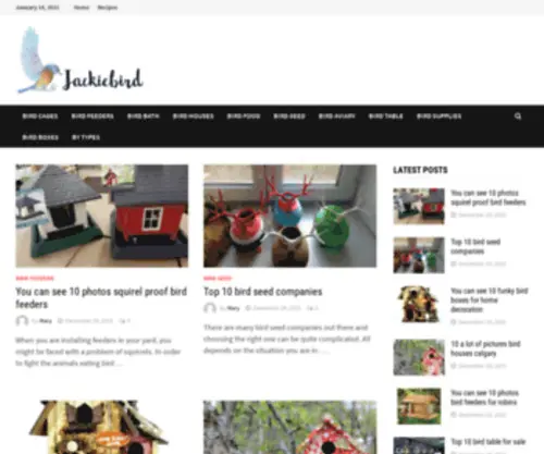 Projectjackfruit.com(Projectjackfruit) Screenshot