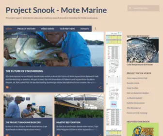 Projectsnook.com(Project Snook) Screenshot