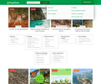 Projetecolo.com(Page Web sur l’Écologie et le Jardinage) Screenshot