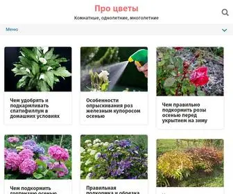 Proklumbu.com(Про цветы) Screenshot
