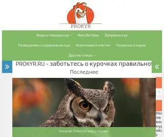 Prokyr.ru(Стань ПРОфессионалом в разведении КУР) Screenshot