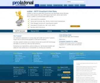 Prolateral.com(Prolateral Consulting) Screenshot