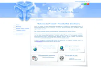 Prolevel.co.uk(Web design in York) Screenshot