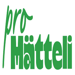 Promaetteli.ch Favicon