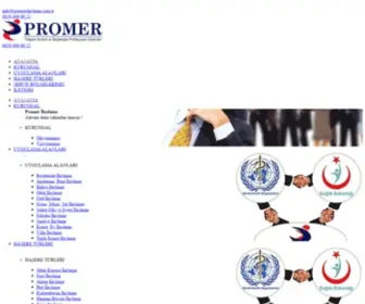 Promerilaclama.com.tr(Böcek i̇laçlama şirketi) Screenshot