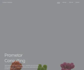 Prometor-Consulting.de(Prometor Consulting) Screenshot