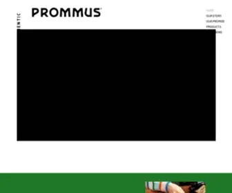 Prommus.com(More Than Hummus) Screenshot