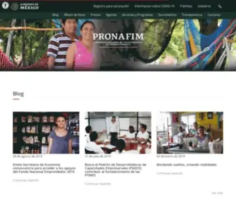 Pronafim.gob.mx(Fideicomiso del Programa Nacional de Financiamiento al Microempresario) Screenshot