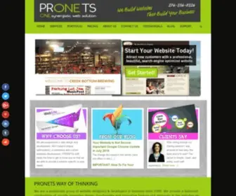 Pronetsweb.com(Website Design) Screenshot
