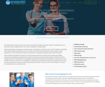 Pronursingexperts.com(Pro Nursing Experts) Screenshot