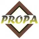 Propaframe.com Favicon