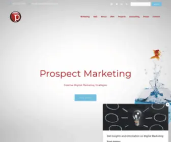 Prospectmarketing.com(Prospect Marketing) Screenshot