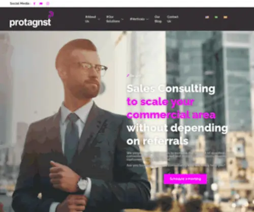Protagnst.com(B2B Sales Consulting Firm) Screenshot