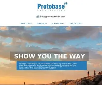 Protobaselabs.com(Strategic Consulting) Screenshot