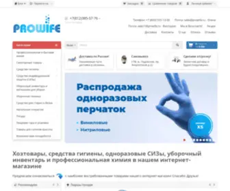 Prowife.ru(В интернет) Screenshot