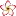 Proyectoaloha.com Favicon
