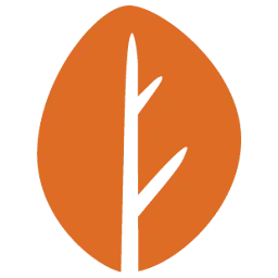 PSD.ch Favicon
