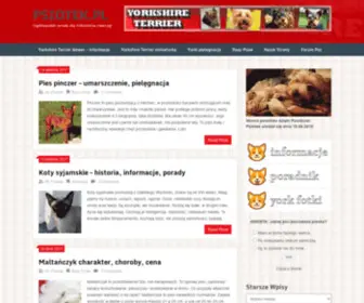 Psiotek.pl(Psy Yorkshire Terrier) Screenshot