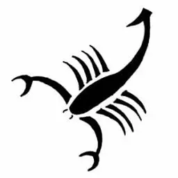 Pstoyanov.com Favicon