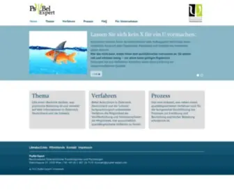 PSybel-Expert.info(PsyBel) Screenshot