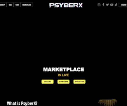 PSyber-X.com(First-Person Shooter) Screenshot