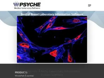 PSYchesystems.com(Systems) Screenshot