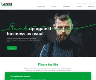 PT-SPV.com(Innovative by nature) Screenshot