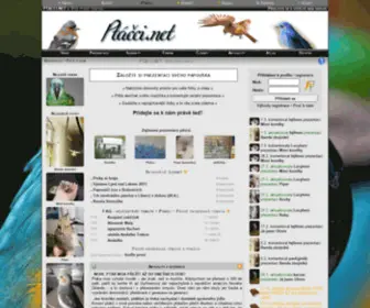 Ptacci.net(Váš) Screenshot
