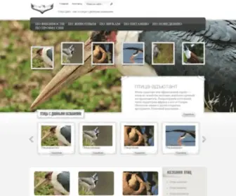 Pterodouble.ru(ПтероДабл) Screenshot