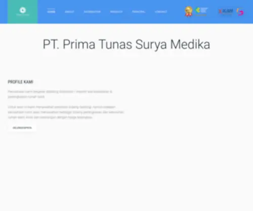 PTsmedika.co.id(Distributor Alat Kesehatan) Screenshot