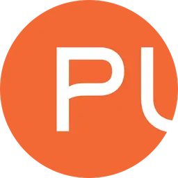 Publikfigur.se Logo