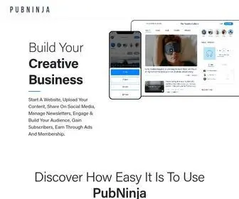 Pubninja.com(Online platform for artists) Screenshot