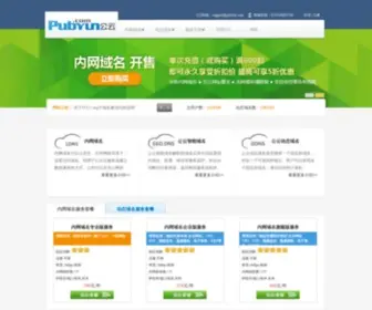Pubyun.com(专业的云计算、动态域名服务提供商) Screenshot