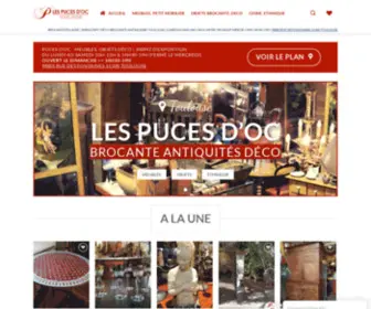 Pucesdoc.fr(✓ 300 m2 Expo Toulouse ✓ Objets Meubles Brocante Toulouse Ethnique Chinois) Screenshot