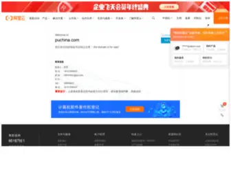 Puchina.com(环球聚氨酯网) Screenshot