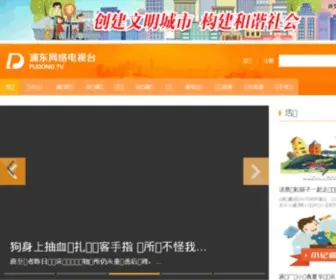 Pudongtv.cn(浦东网络电视台) Screenshot