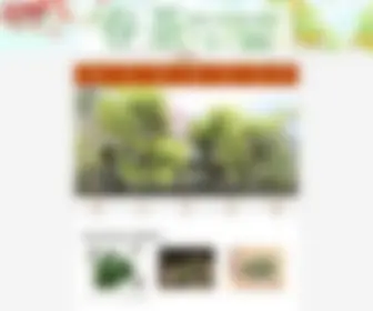 Puercn.com(中国普洱茶网) Screenshot