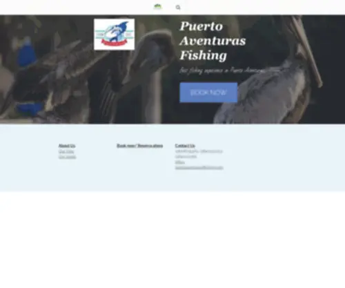Puertoaventurasfishing.com(Puerto Aventuras Fishing With Captain Walter Sports Fishing Near Cancun and Playa del Carmen Mexico) Screenshot