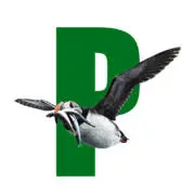 Puffin.bg Logo