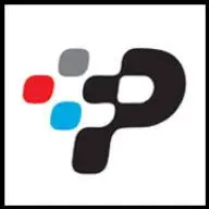 Puffintechnologies.com Favicon