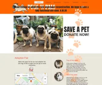 Pugdogrescue.com(Pugs 'N Pals) Screenshot