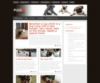 Pugs.co.uk(Information guide for pug lovers) Screenshot