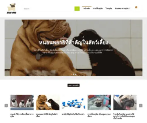 Pugthai.com(Pug) Screenshot