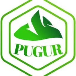 Pugur.com Favicon