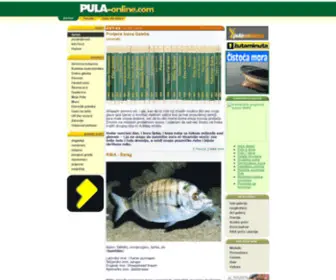 Pula-Online.com(Pula Online) Screenshot