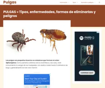 Pulgas.info(Tipos, enfermedades, formas de eliminarlas y peligros) Screenshot